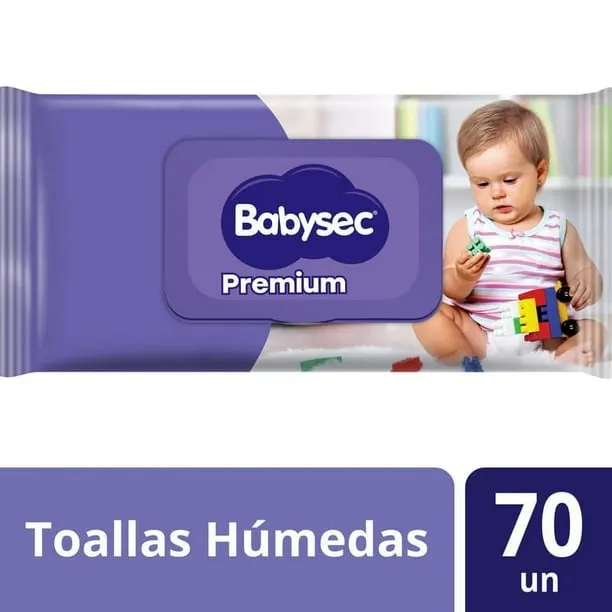 Toallitas húmedas Babysec 70 un